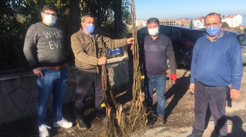 B&uuml;y&uuml;kşehirden Yakaket&rsquo;te bin 500 adet ceviz fidesi
