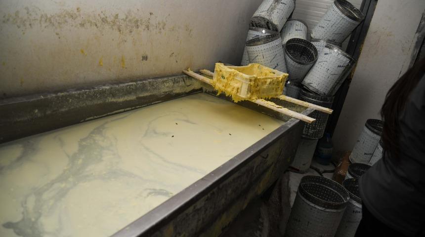 Kayseri’de sahte peynir üretimi yapan işletmeye 55 bin TL ceza