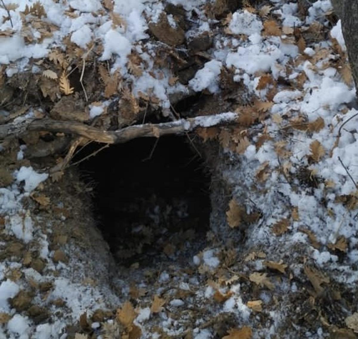 Tunceli&rsquo;de 14 sığınak imha edildi