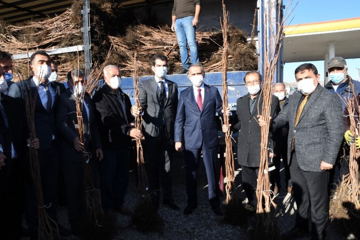 G&ouml;lbaşı&rsquo;nda &ccedil;ift&ccedil;ilere hurma fidanı