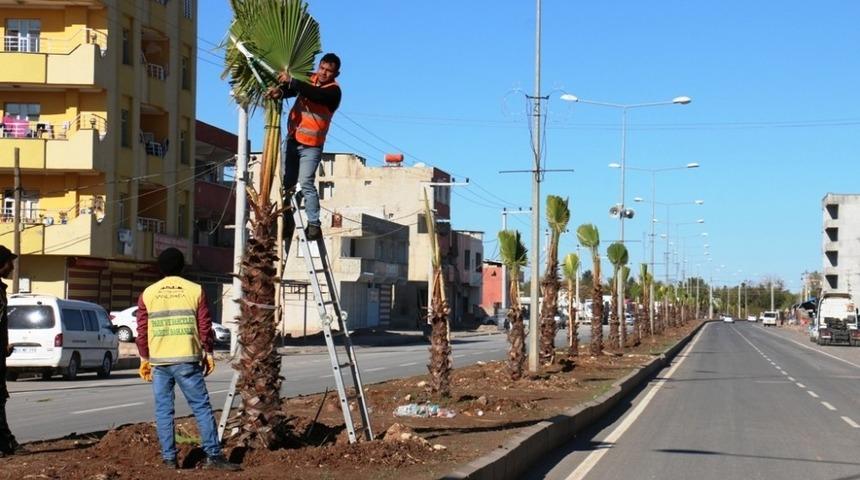 Ak&ccedil;akale&rsquo;de yeşil alan seferberliği