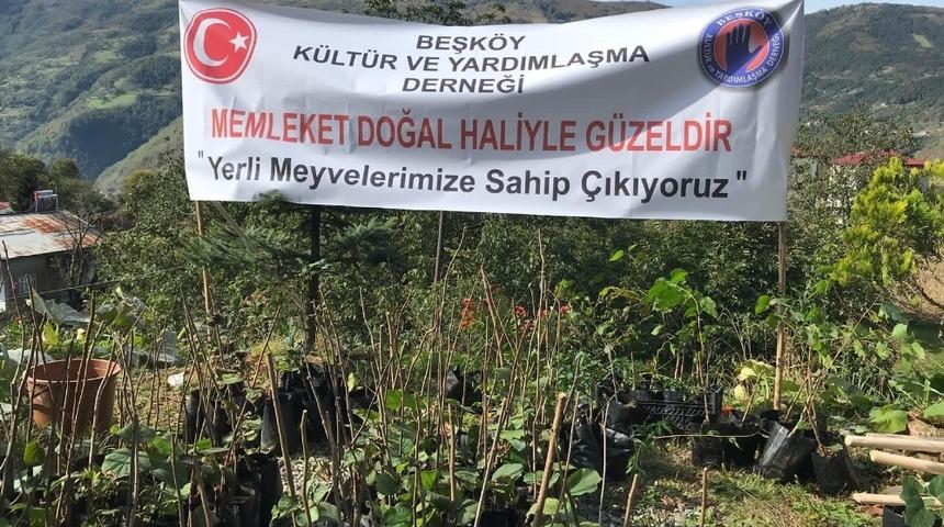 &ldquo;Memleket Doğal Haliyle G&uuml;zeldir&rdquo; projesiyle 5 bin k&ouml;k meyve diktiler