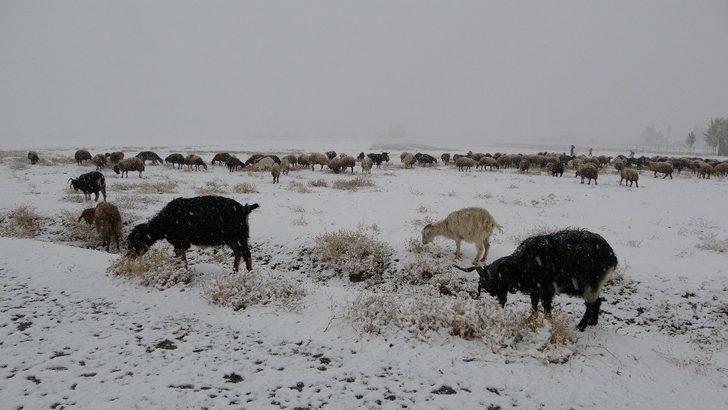 Muş’ta kar yağışı kenti beyaza bürüdü G5
