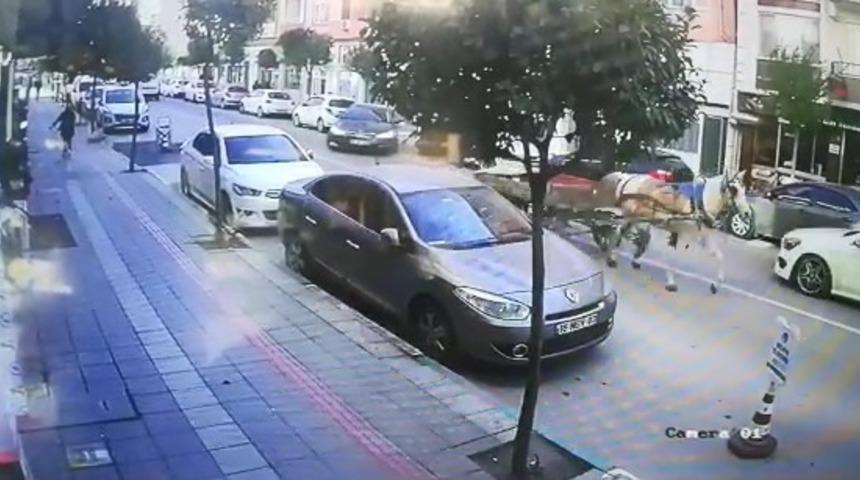 Huysuz at sahibi olmadan 4 nala yollara koyuldu