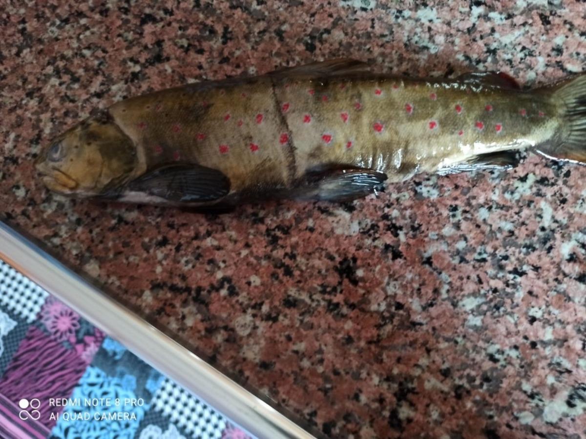 Soğuk havada hasta annesi i&ccedil;in balık avına &ccedil;ıktı