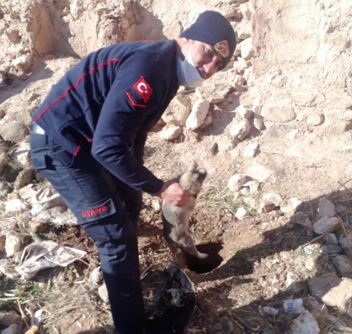 Su kuyusuna d&uuml;şen k&ouml;pek, itfaiye ekiplerince kurtarıldı