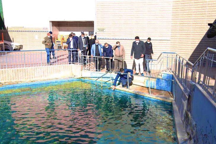 Vali Ali Çelik, Dereli Termal Turizm Merkezi’ni inceledi G2