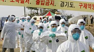 Güney Kore’de kuş gribi nedeniyle 390 binden fazla tavuk ve ördek itlaf edildi