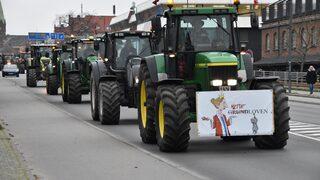 Danimarka’da Kovid-19 bulaşan kediler itlaf edildi