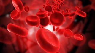 En az bulunan kan AB RH negatif