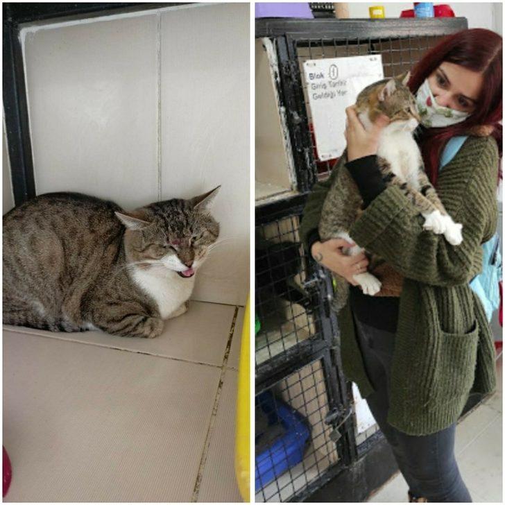 Depremden kurtarılan can dostlar sahiplendiriliyor G2