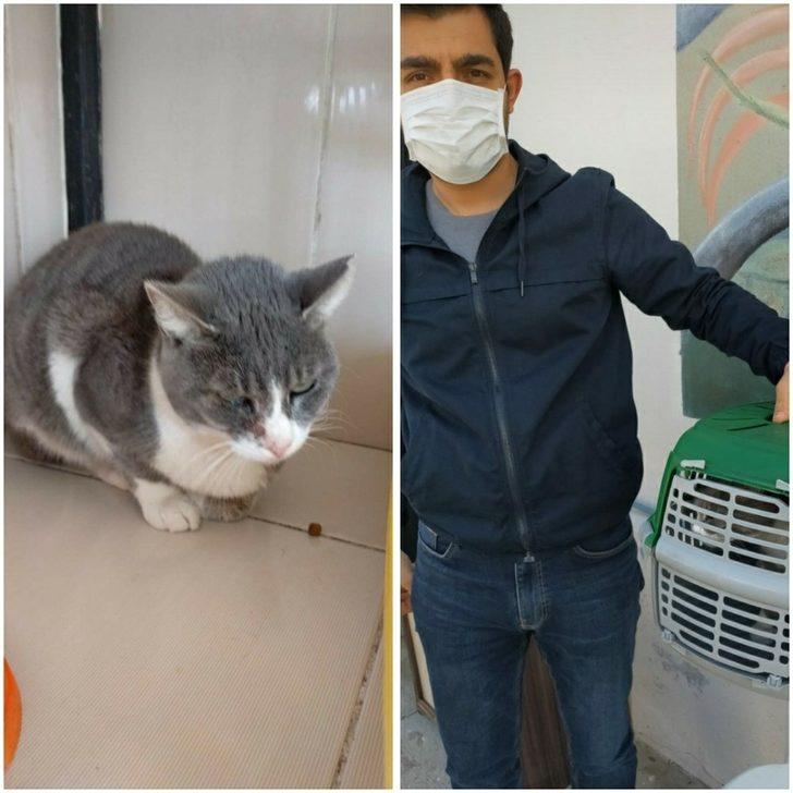 Depremden kurtarılan can dostlar sahiplendiriliyor G3