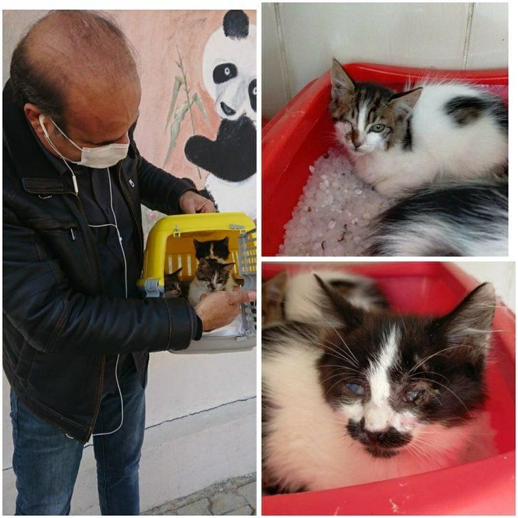 Depremden kurtarılan can dostlar sahiplendiriliyor G4