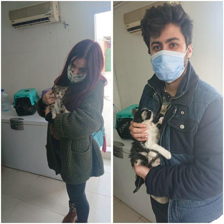 Depremden kurtarılan can dostlar sahiplendiriliyor G5