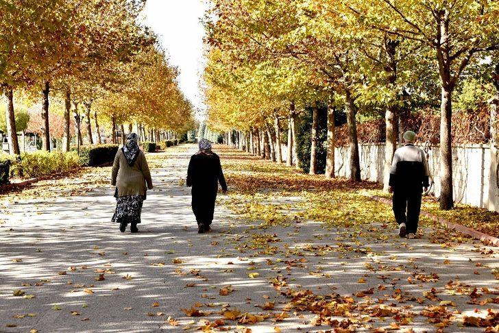 Karatay’da sonbahar güzelliği G4