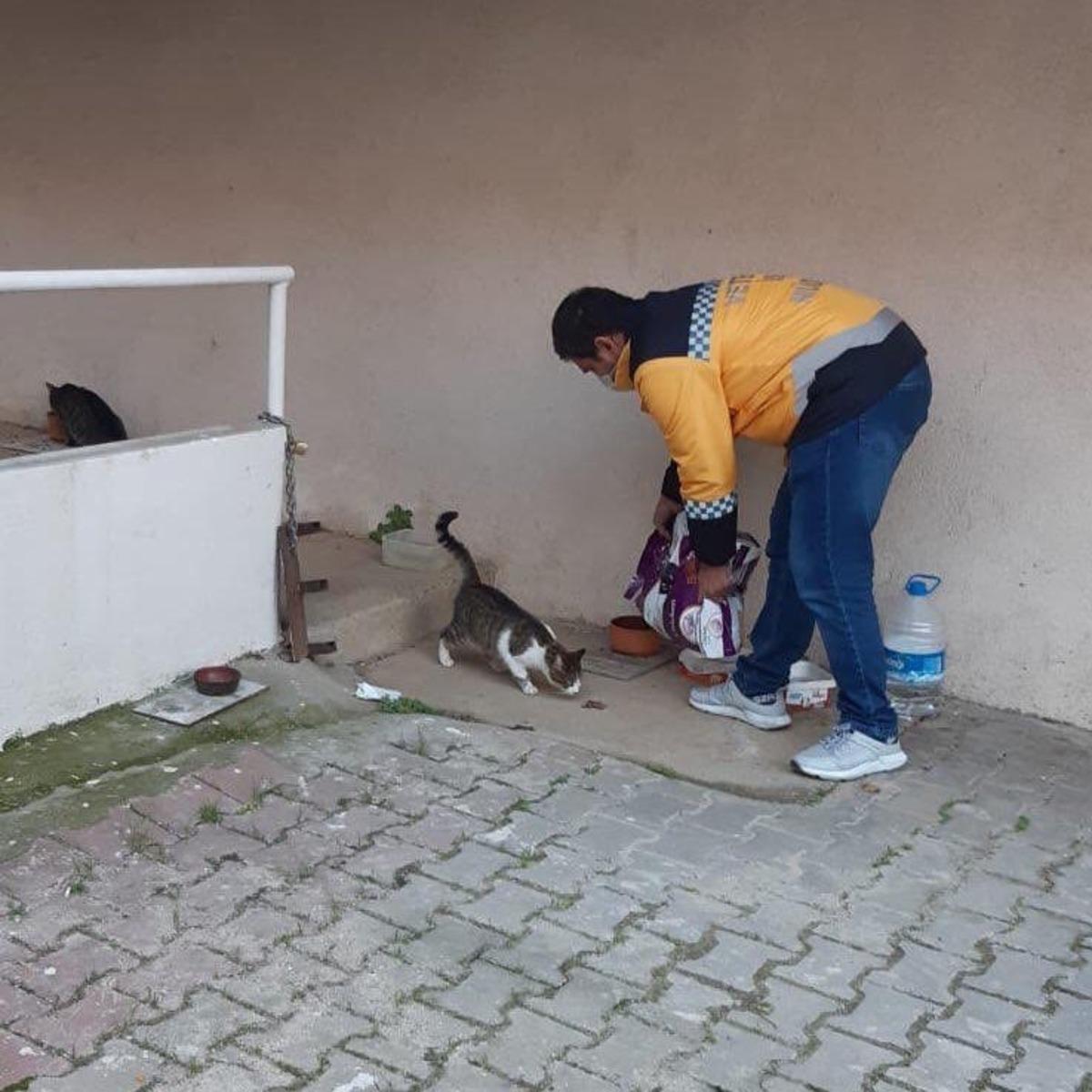 Ey&uuml;psultan&rsquo;da sokak hayvanları unutulmuyor