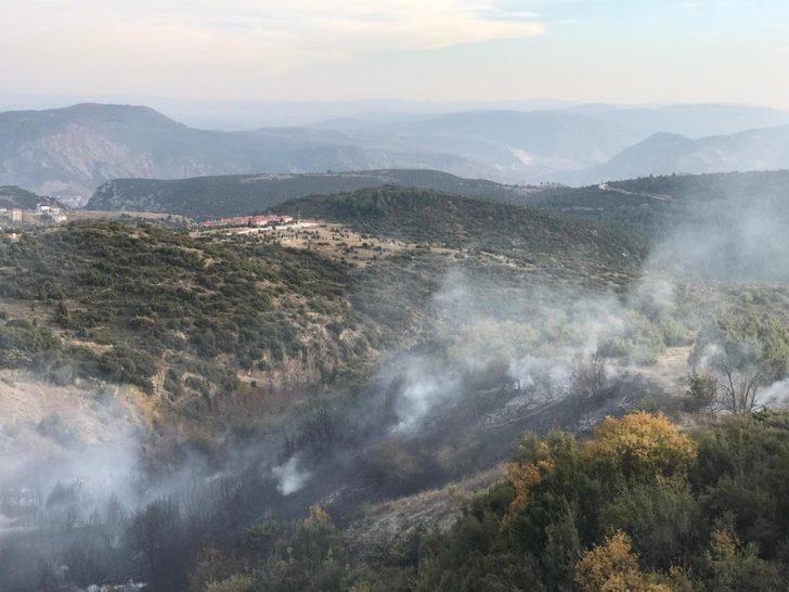 Bilecik’te makilik alanda yangın G3