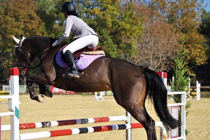 Kocaeli'de Atatürk'ü Anma Engel Atlama Yarışmaları tamamlandı G1