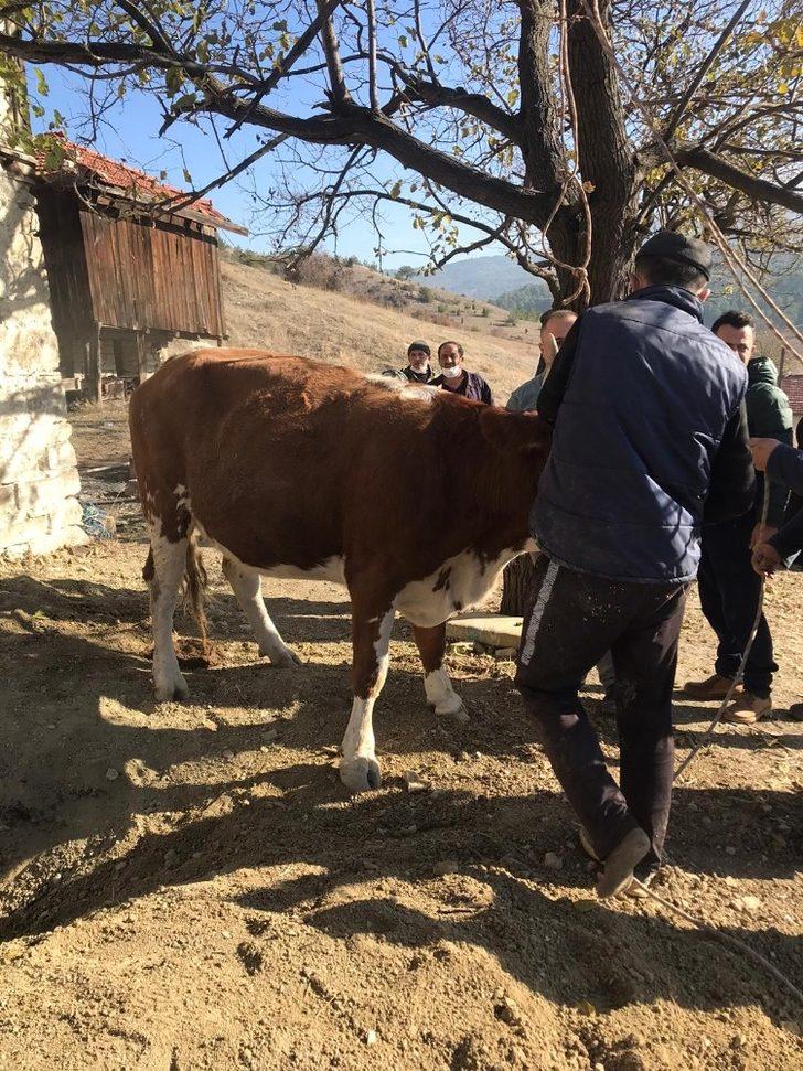 Kuyuya düşen ineği ekipler çıkarttı G2