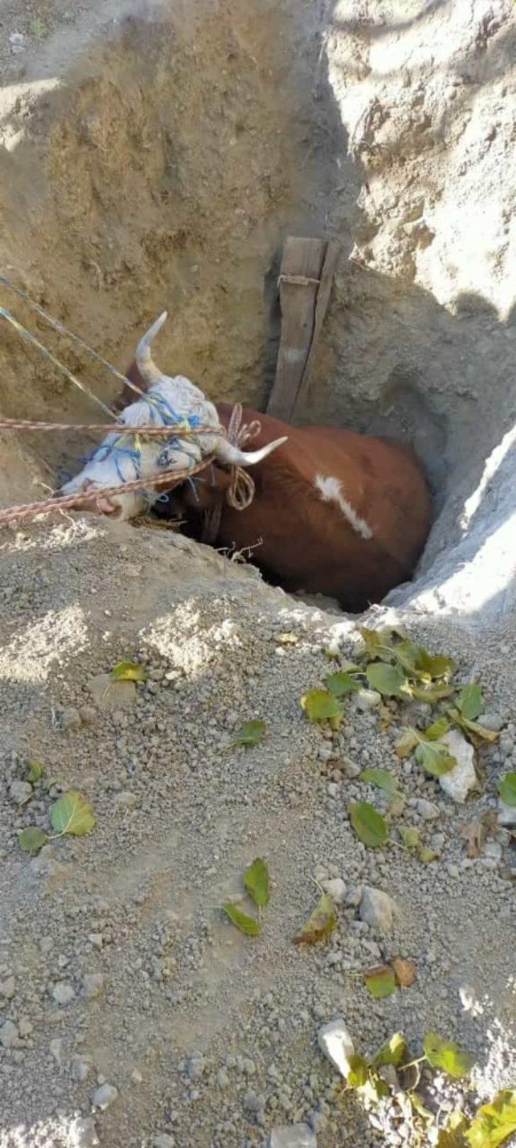 Kuyuya düşen ineği ekipler çıkarttı G3
