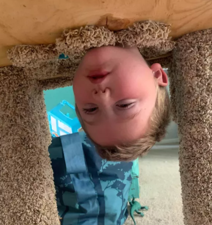 Başını kedi tırmalama tahtasına sıkıştıran &ccedil;ocuğun yardımına itfaiye koştu 