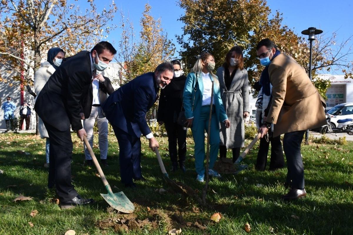 TSE binasının fidanları, Kestel Belediyesi&rsquo;nden