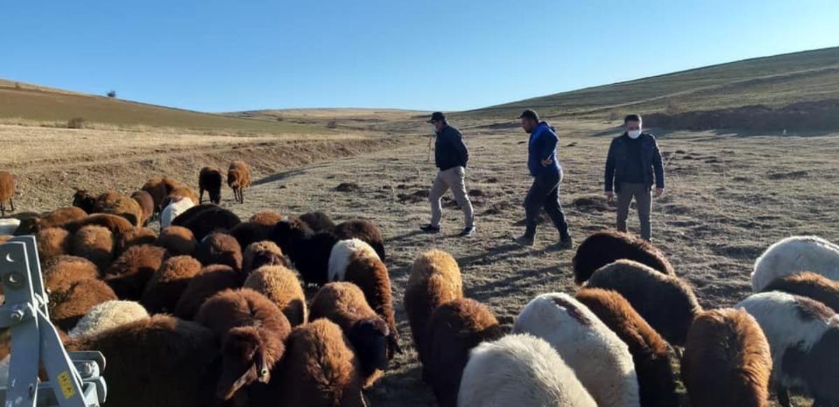 &ldquo;K&ouml;y&uuml;mde Yaşamak İ&ccedil;in Bir S&uuml;r&uuml; Nedenim Var&rdquo; projesiyle iş&ccedil;i olmaktansa işveren oldu