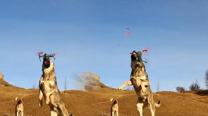 Yer: Artvin! Havada parçaladı