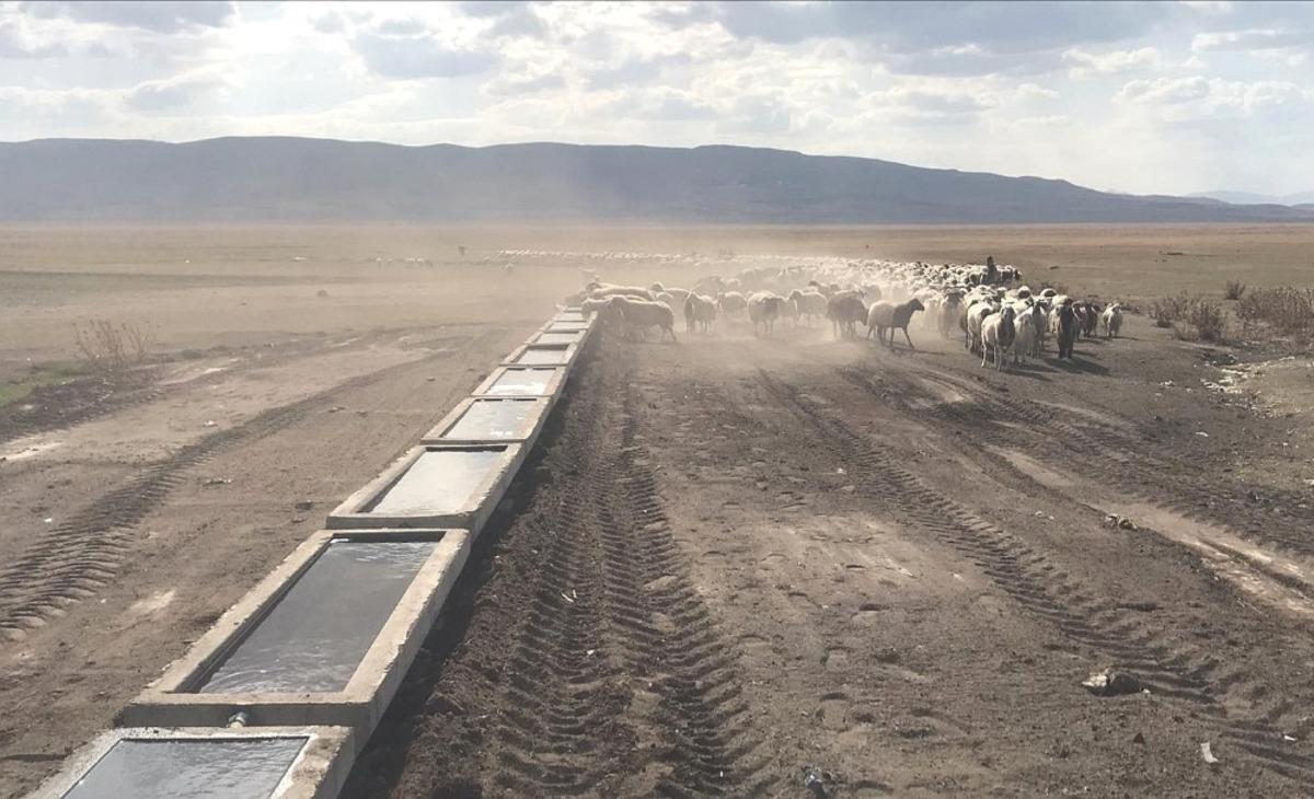 Van B&uuml;y&uuml;kşehir Belediyesi 120 mahalleye bin adet sıvat kurdu