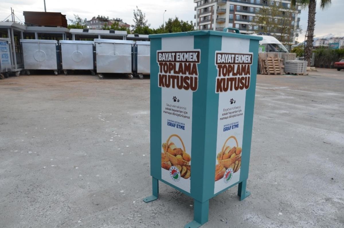 Kepez&rsquo;de bayat ekmekler sokak hayvanlarına mama olacak
