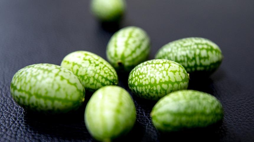 Tadı hıyara, g&ouml;r&uuml;n&uuml;ş&uuml; karpuza benziyor! İşte Antalya'nın mini meyveleri