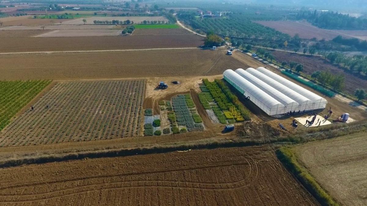 Muğla B&uuml;y&uuml;kşehirden &lsquo;Akıllı Tarım&rsquo; &ccedil;iftliği