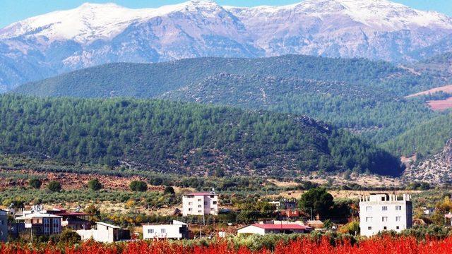 Amanoslara mevsimin ilk karı düştü