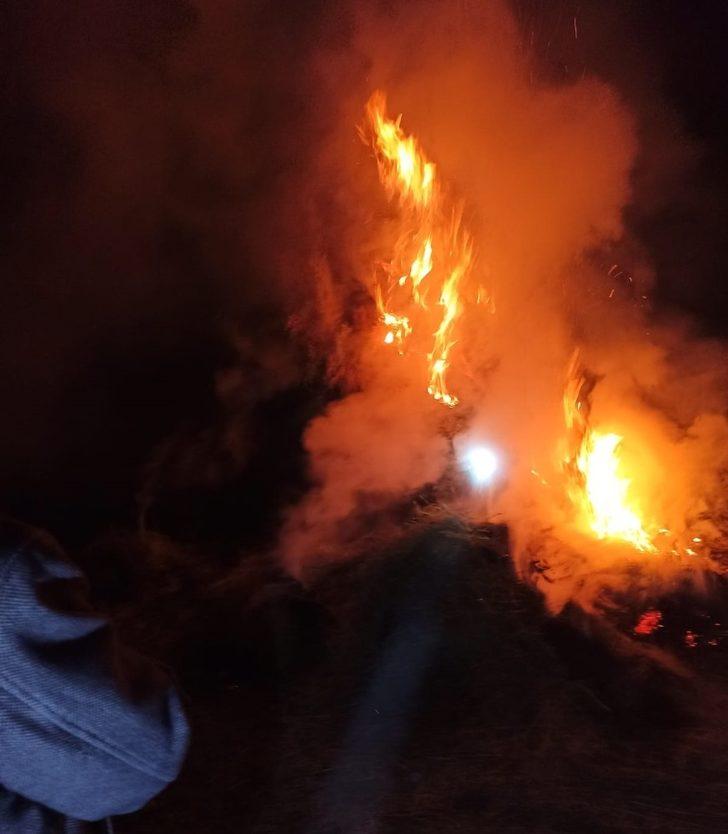 Özalp ilçesinde bin bağ ot yandı G5