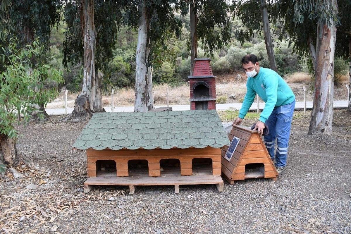 Kuşadası&rsquo;nda sokak hayvanlarının yuvaları kışa hazır