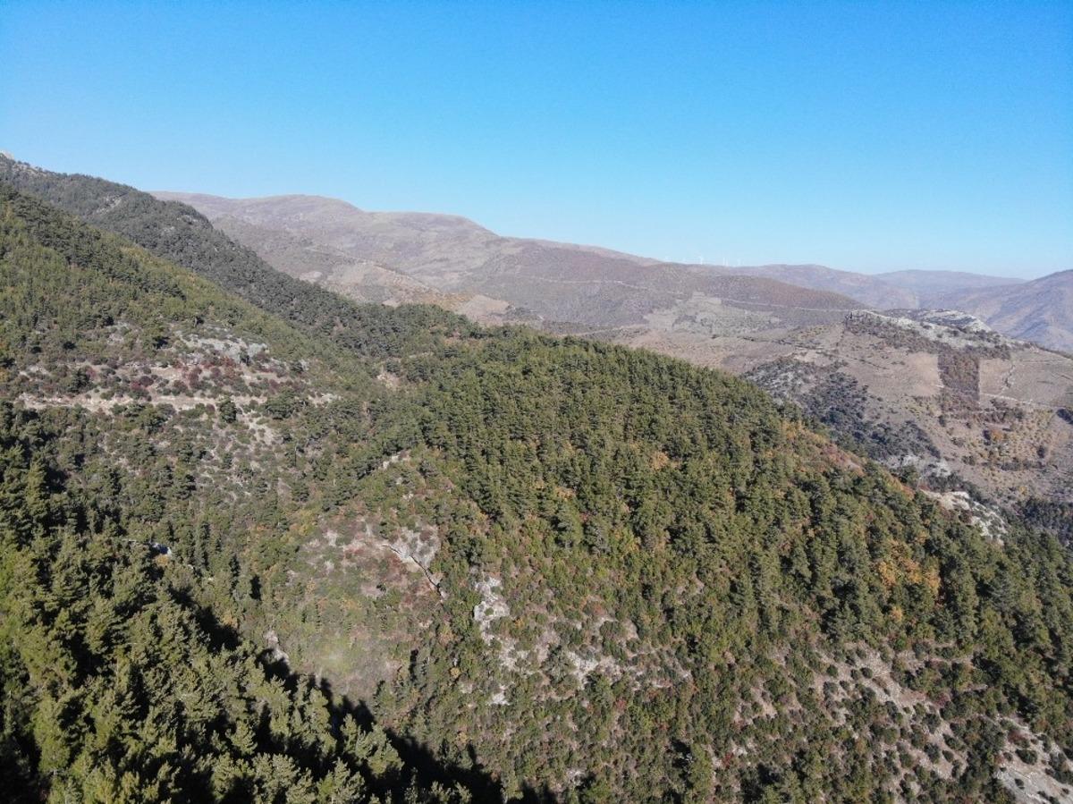 Aydın dağları yangından değil, kuraklıktan kavrulmaya başladı