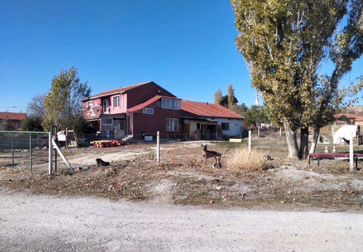 Ruhsatsız işletilen k&ouml;pek eğitim merkezine baskın