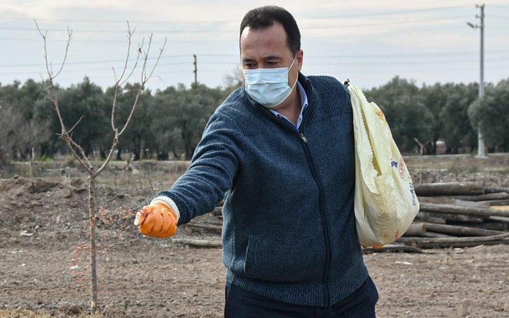 Akhisar’da Ata tohumu ’Karakılçık’ buğdayı toprakla buluştu G1