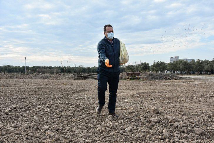 Akhisar’da Ata tohumu ’Karakılçık’ buğdayı toprakla buluştu G3