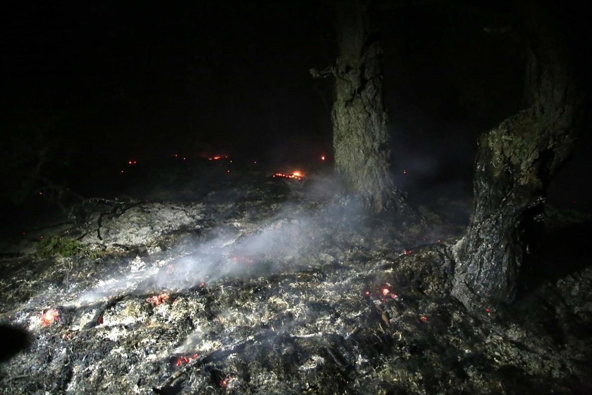 Kastamonu'daki orman yangını kontrol altına alındı