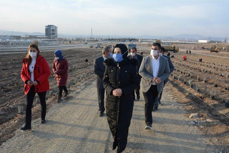 Akyurt’a lavanta bahçesi G3