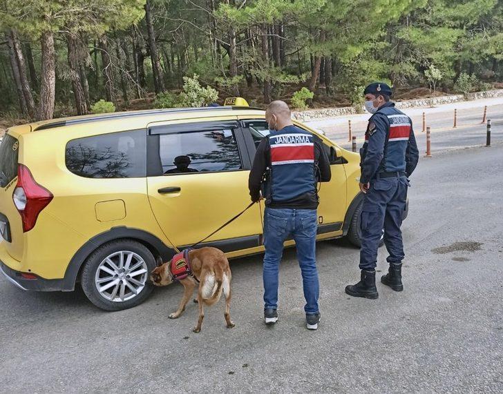 Jandarma’nın Covid-19 denetimleri sürüyor G2