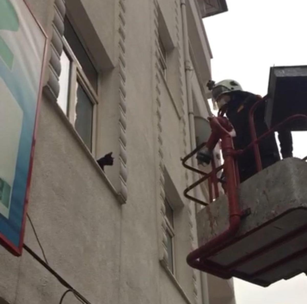 Pencere &ouml;n&uuml;nde mahsur kalan kediyi itfaiye kurtardı