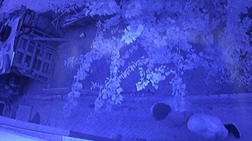 40 bin TL’lik dövüş horozunu böyle çaldılar