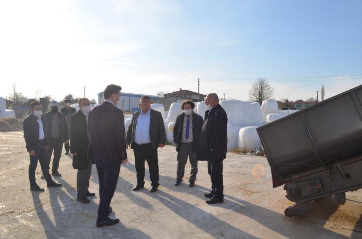 Müdür Gümüş, Beylikova Tarımsal Kalkınma Kooperatifi’nde incelemelerde bulundu G2