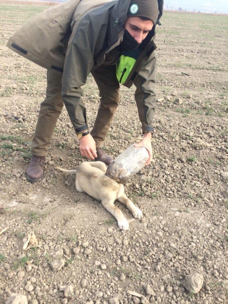 Kafasına plastik şişe sıkışan köpeği DKMP ekipleri kurtardı G3