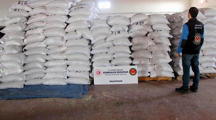 Bakla dendi yem bitkisi &ccedil;ıktı