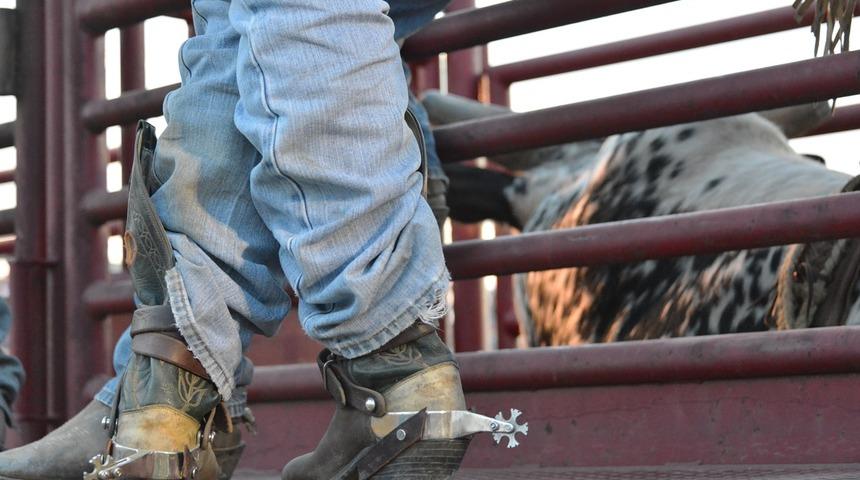 Mahmuzlamak nedir? Mahmuz ne demek? 