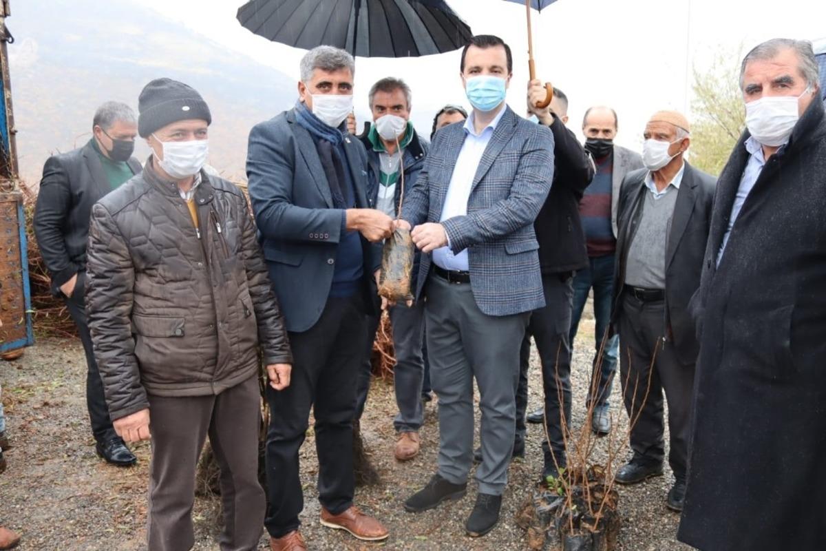 Hazro&rsquo;da &ccedil;ift&ccedil;ilere 28 bin adet fıstık, ceviz ve badem fidanı dağıtıldı