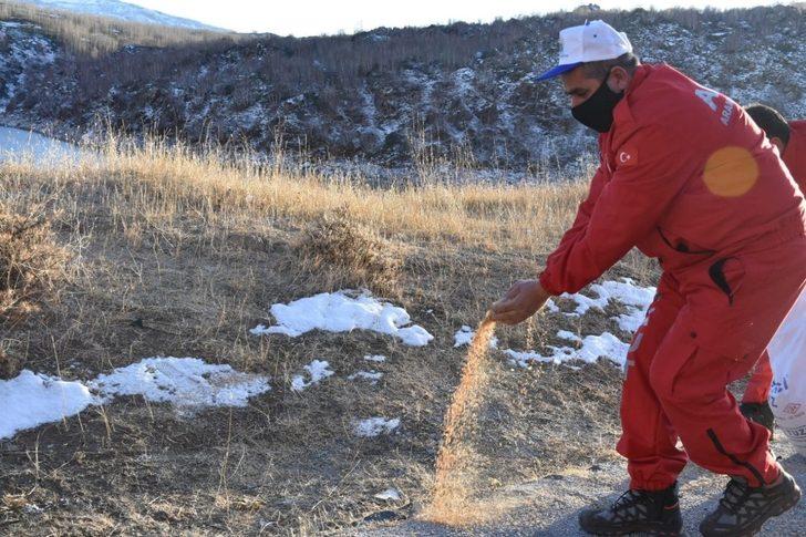 Nemrut Krater Gölü çevresine bir ton yem bırakıldı G4